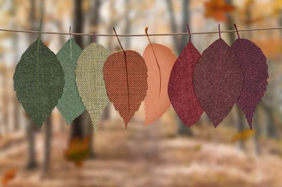 autumn-decoration-autumn-mood-forest-bright-1389460-1024x683